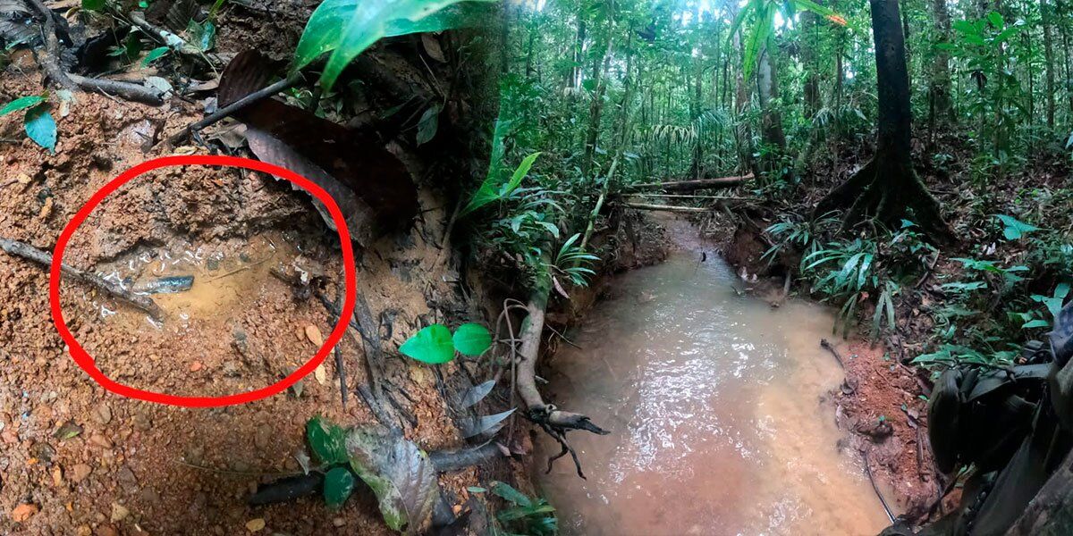 Ejército reporta nuevas pistas: ¿son las huellas de los niños extraviados en la selva de Guaviare?