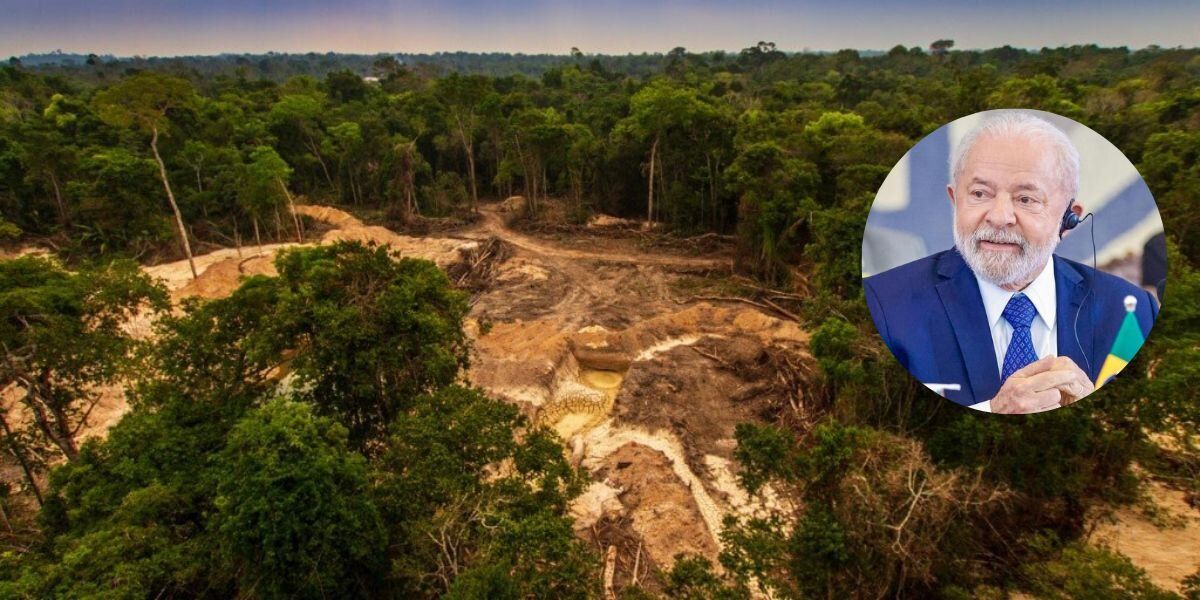 Nuevo plan de Lula da Silva en contra de la deforestación