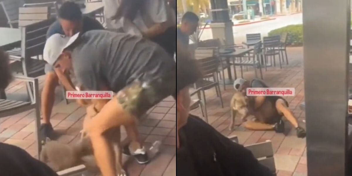 Nuevo caso de ataque de perro pitbull en pleno restaurante