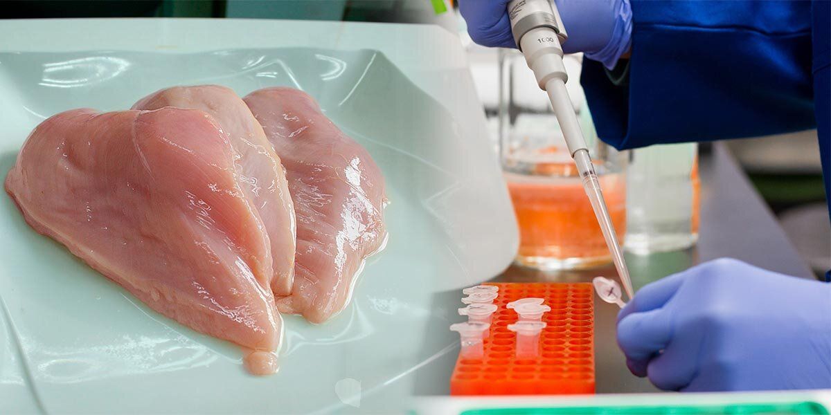 Carne de pollo cultivada en laboratorio
