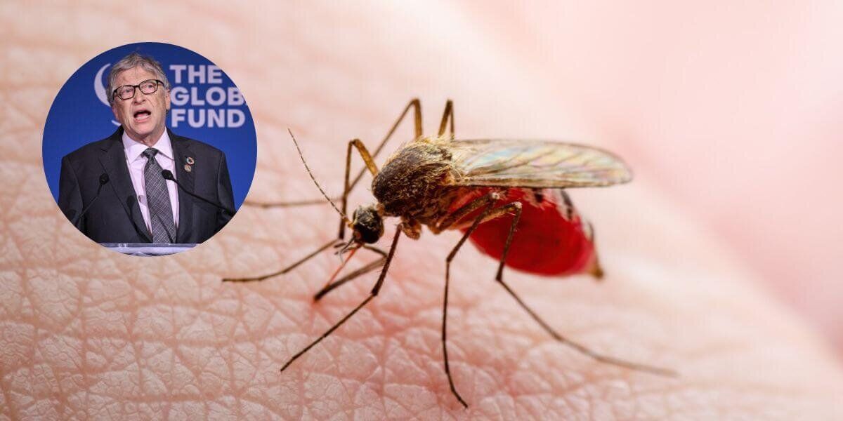 Bill Gates mosquitos Medellín