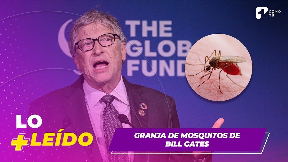 Lo Más Leído: La granja de mosquitos de Bill Gates