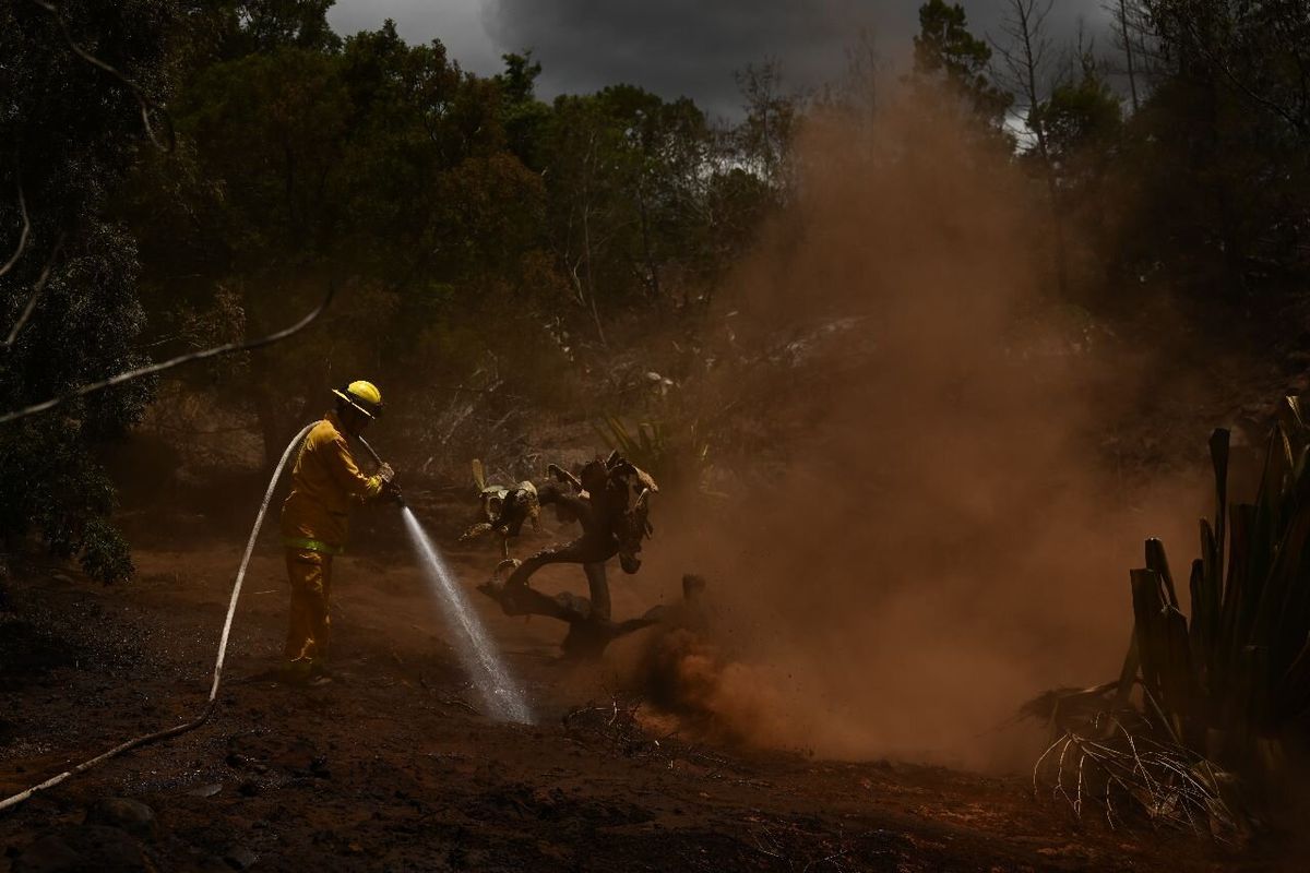 Incendio en Hawái cerca de superar el centenar de muertos: buscan a los cientos de desaparecidos