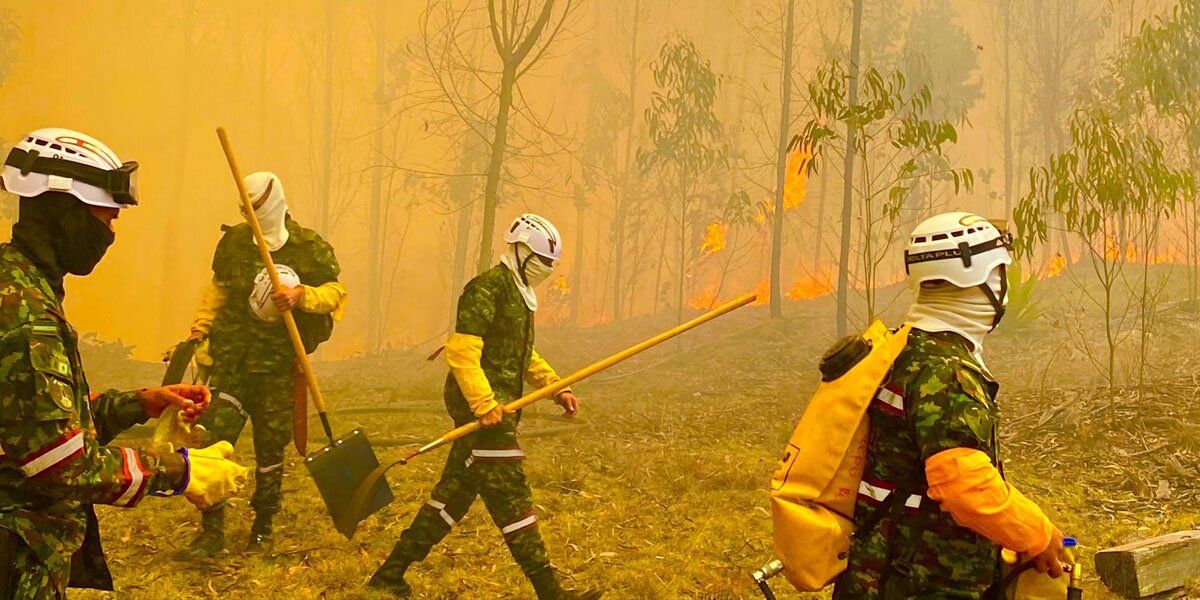 Colombia en alerta por incendios forestales agravados por el fenómeno de El Niño