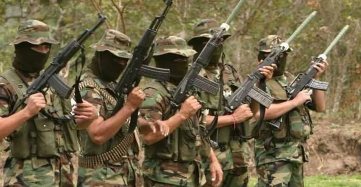 Clan del Golfo dio de baja a cuatro guerrilleros del ELN y disidencias en Cáceres, Antioquia