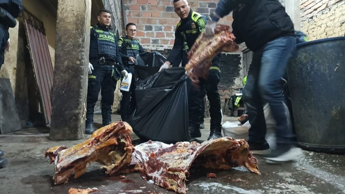 Policía descubre un matadero clandestino en Ciudad Bolívar: carne estaba avaluada en cinco millones