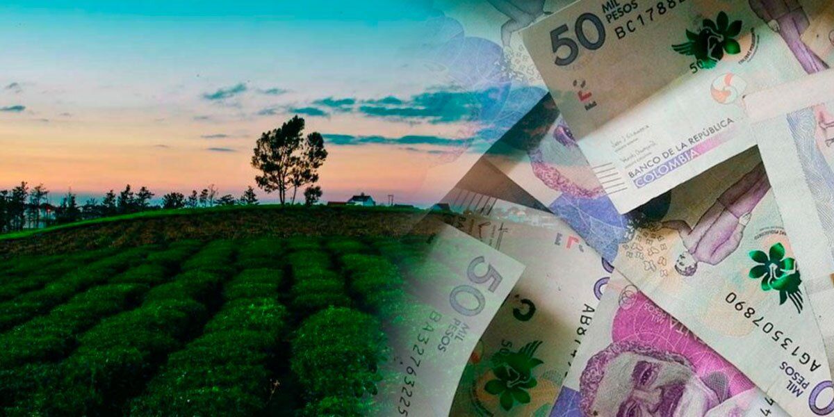Reforma agraria tendrá alta inversión estatal, según el director de la Agencia de Tierras
