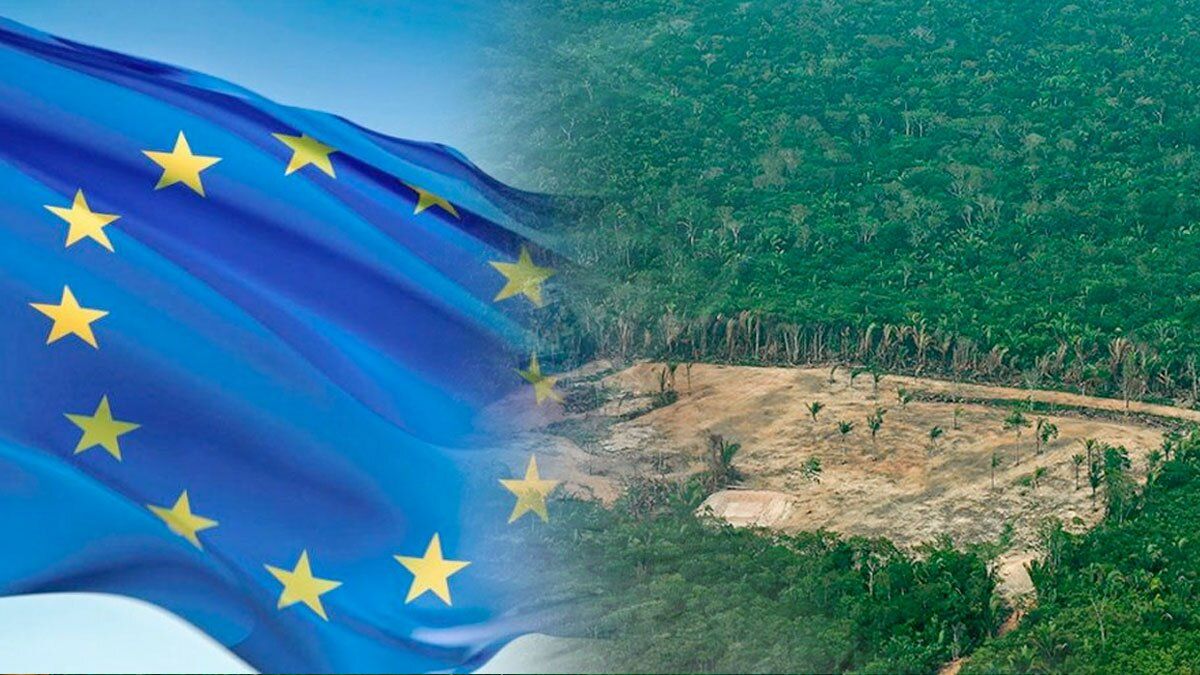 Colombia y 16 países más en vía de desarrollo reclaman en carta a la UE sobre la ley antideforestación