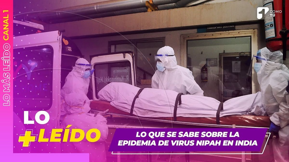 ¿El virus Nipah puede convertirse en una pandemia como el covid-19?