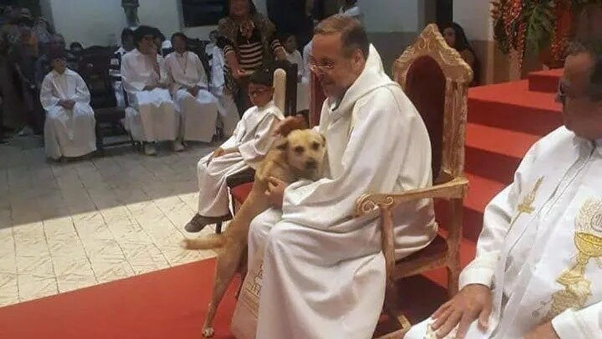 Él es el sacerdote que recoge perros de la calle y los da en adopción en sus misas: hasta apareció en Netflix
