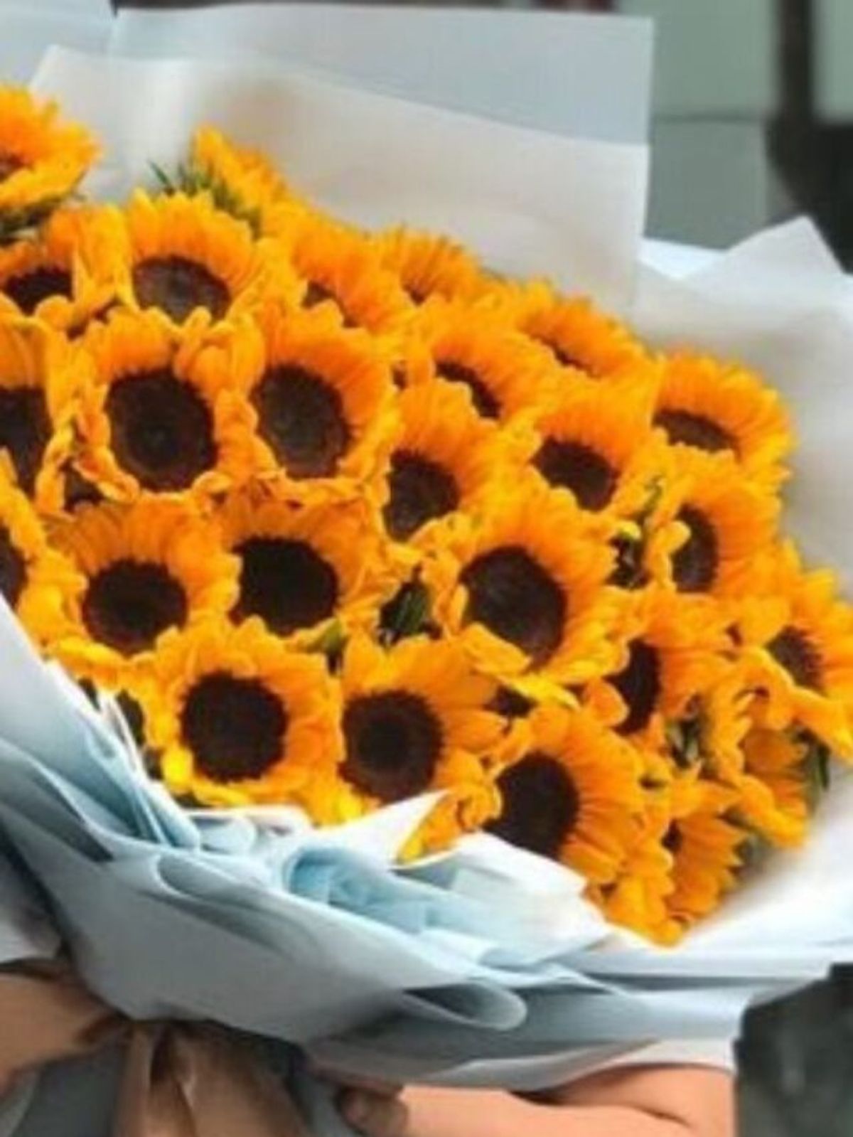 ¿Por qué todas quieren que les regalen flores amarillas este 21 de septiembre?
