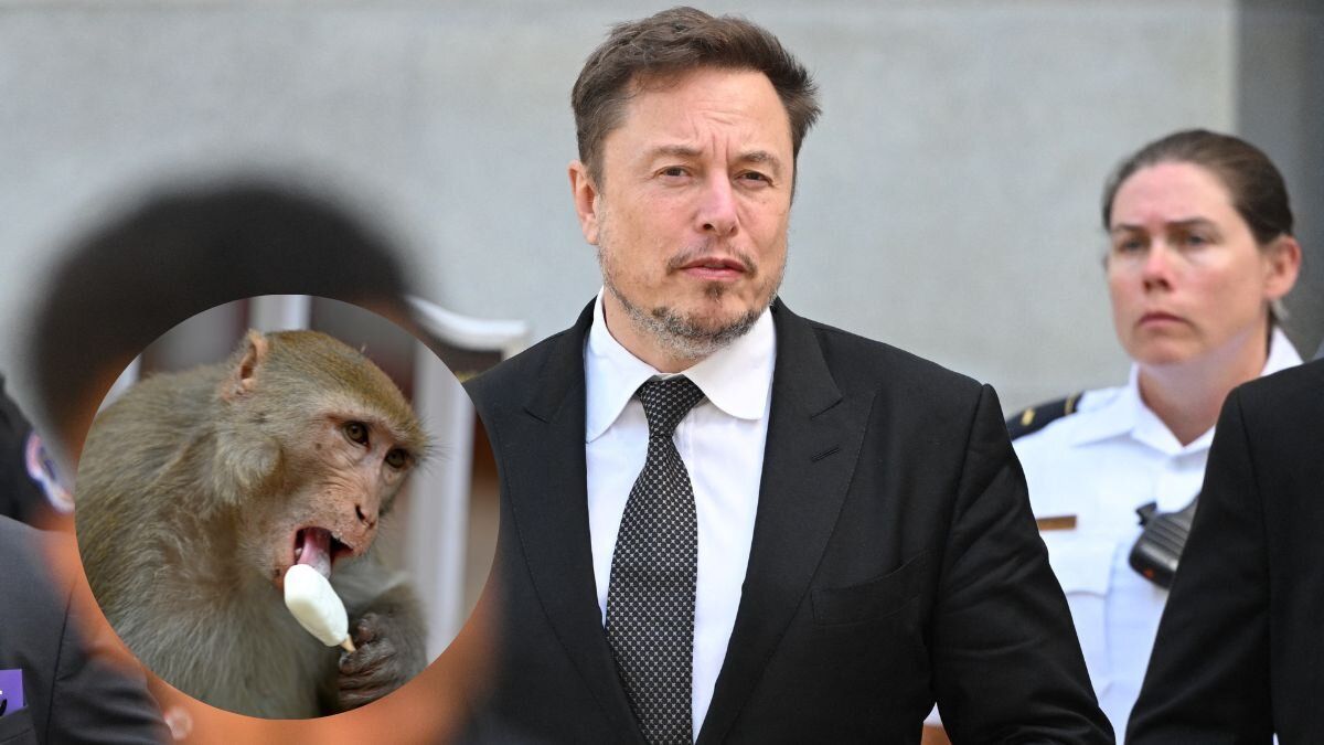 Acusan a empresa de Elon Musk de maltrato animal tras muerte de monos
