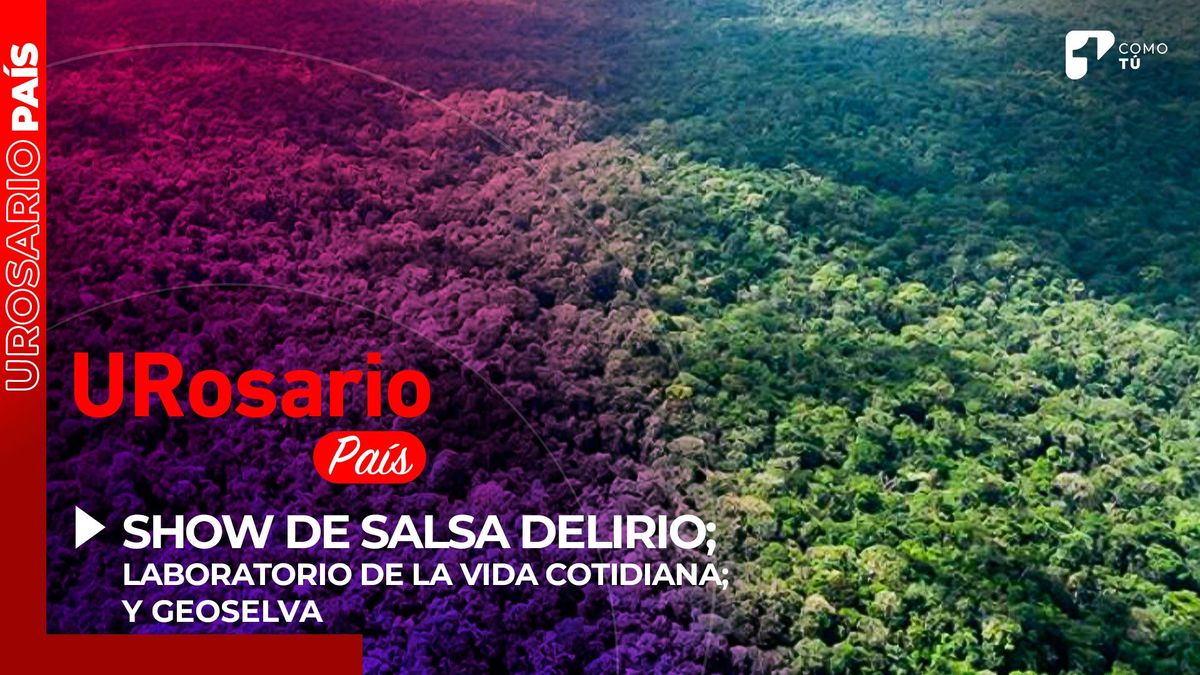 urosario-pais-geoselva-visor-deforestacion-amazonia