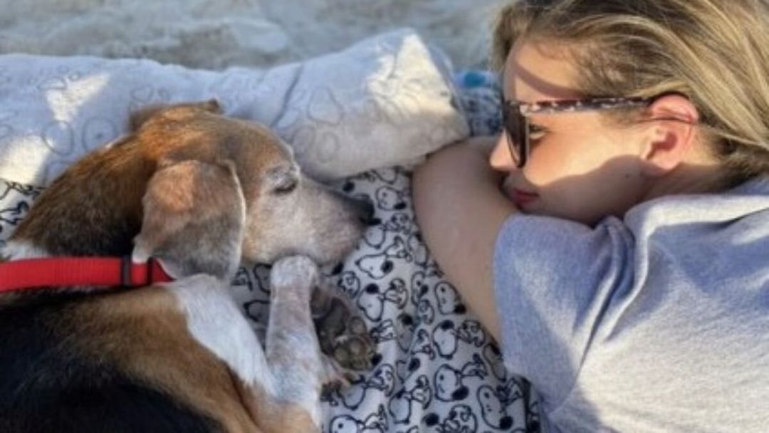 Familia despide a su perrito en la playa y conmueven las redes - Canal 1