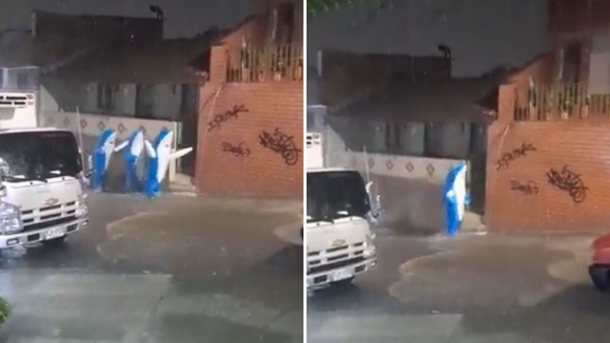 Tiburones aprovecharon fuerte lluvia en Medellín para salir a ‘nadar’
