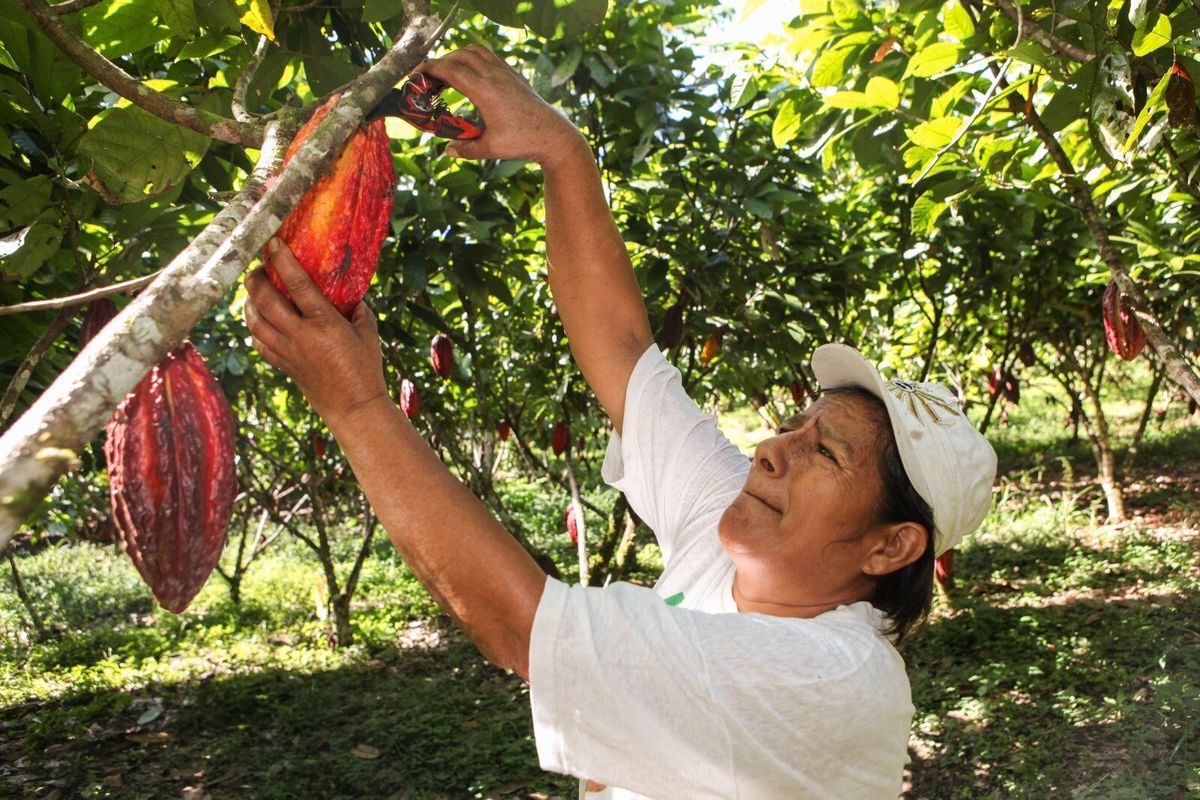 Finagro créditos para campesinos colombianos