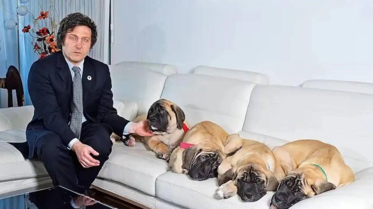 Javier Milei y la inusual familia con la que gobernará Argentina: él y cuatro perros