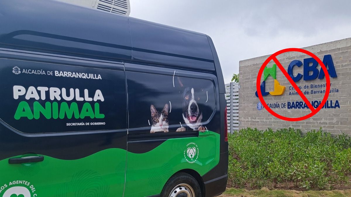 Centro de Bienestar Animal se cierra por supuesta falta de recursos en Barranquilla