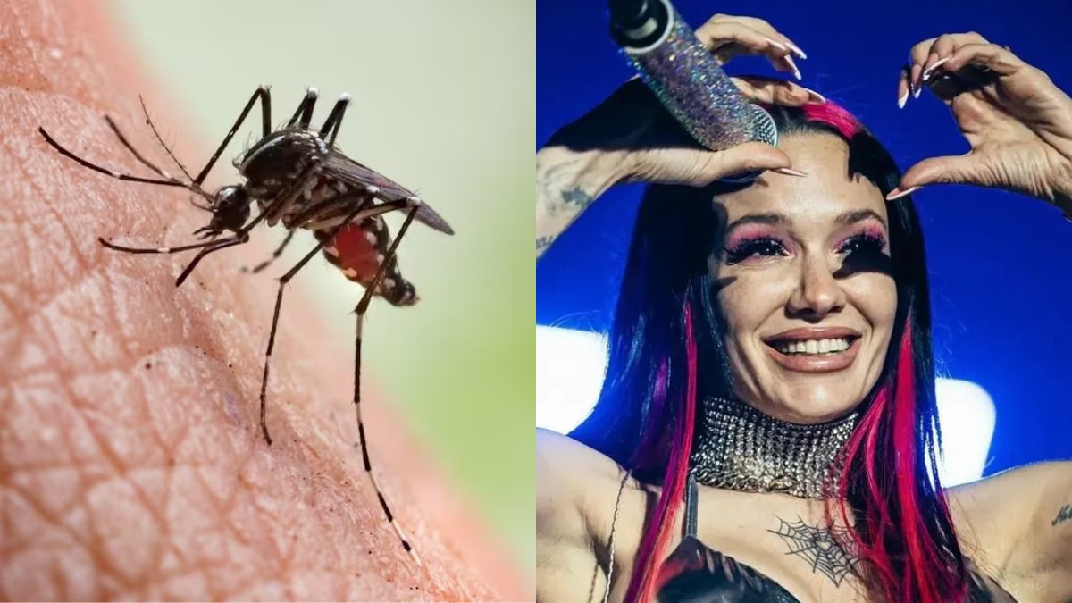 Video | Hombre atrapó a mosquito y le puso música de cantante de reguetón para torturarlo