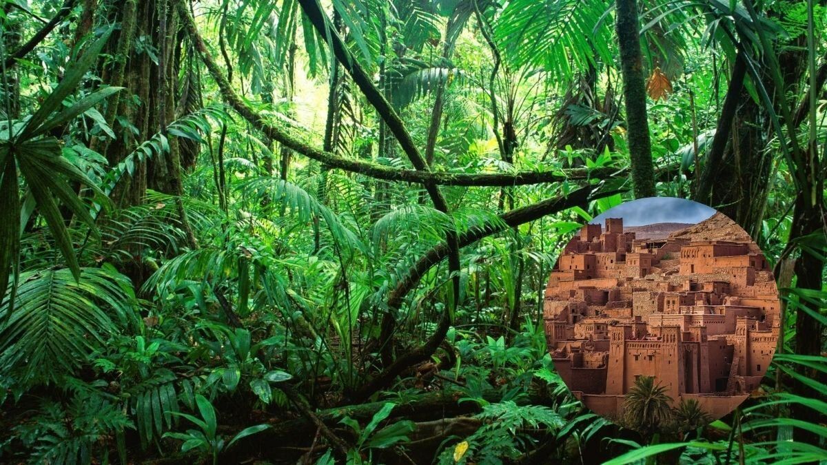 hallan-inmensa-ciudadela-2500-anos-fue-descubierta-selva-amazonica