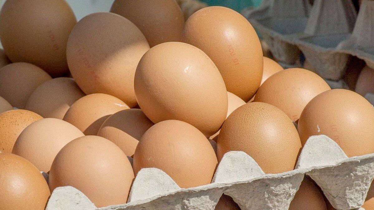 Cae el precio del huevo por sobreoferta, ¿en cuánto se está vendiendo?