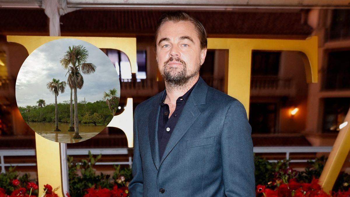 Leonardo DiCaprio elogia nuevo Parque Natural en Colombia
