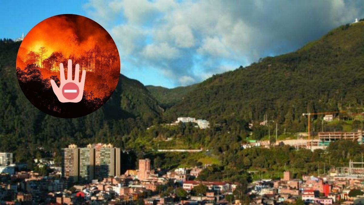Incendios forestales en Colombia: ¿Cómo puede ayudar?