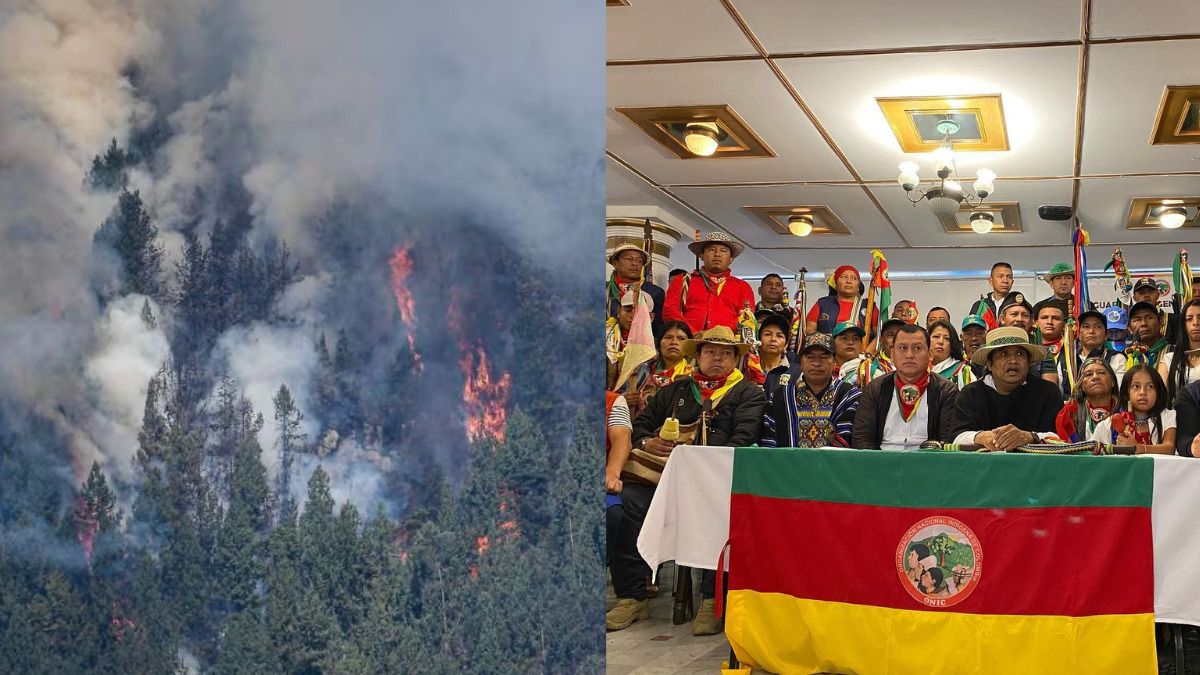 Incendios forestales en Bogotá: Guardia Indígena llegó a los cerros para brindar su ayuda