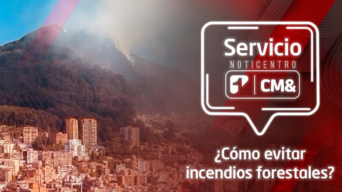 Servicio NotiCentro 1 CM& | ¿Cómo evitar incendios forestales?