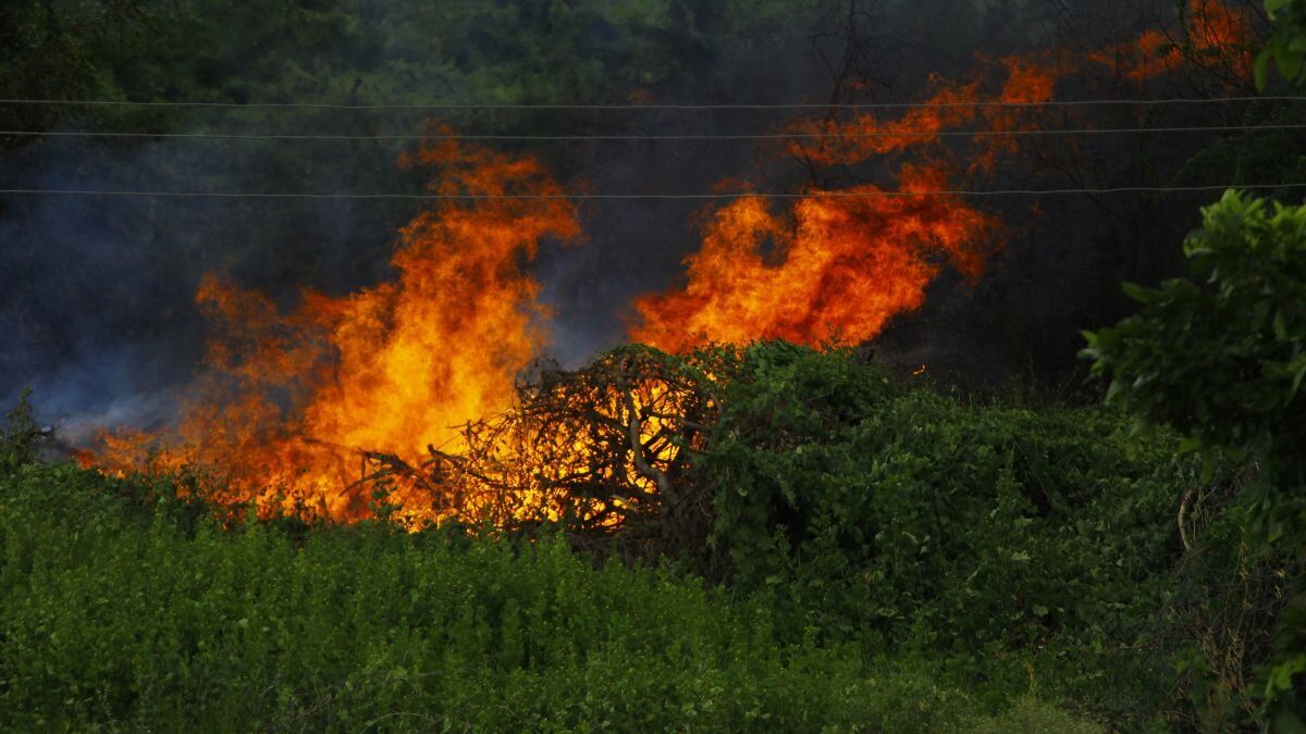 incendios-forestales-chile-dejan-19-personas-muertas