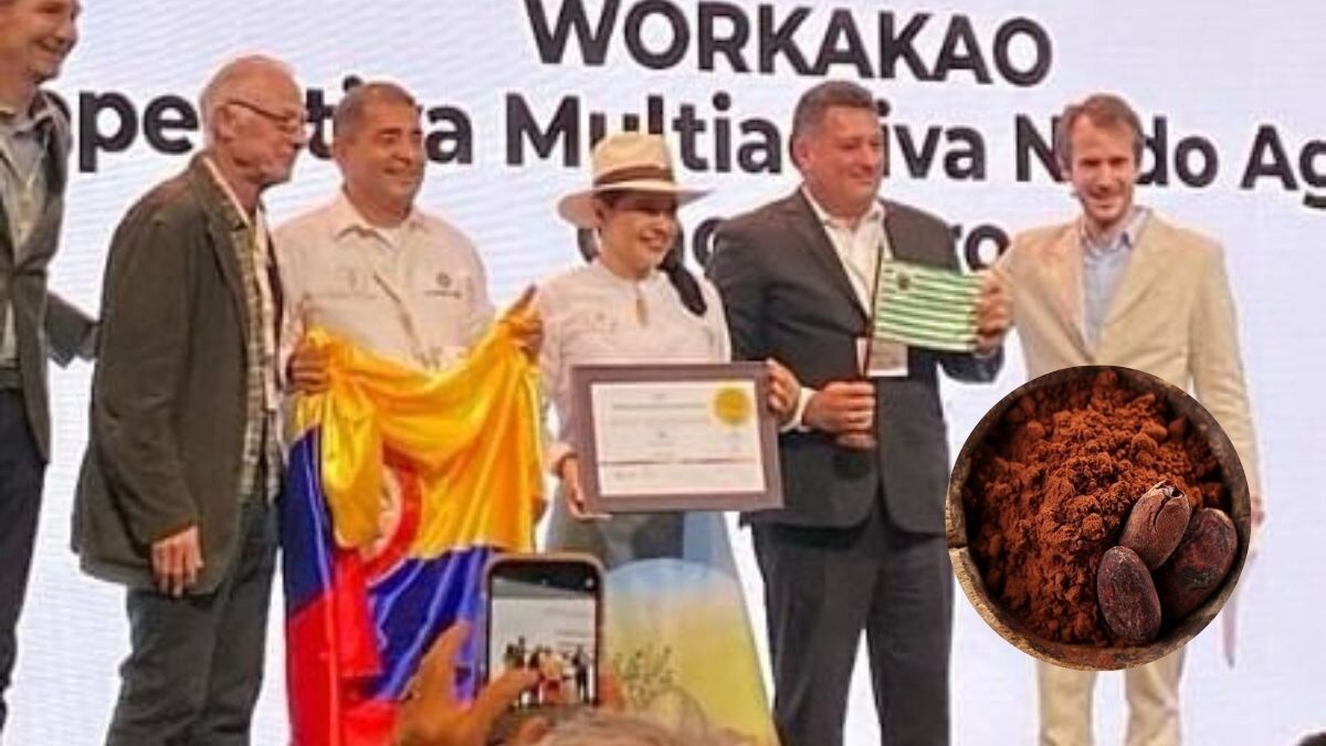 Colombia presente: el cacao nacional fue elegido como el mejor del mundo