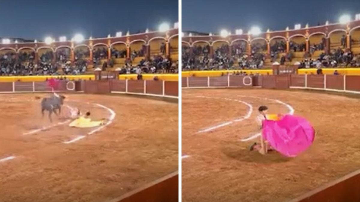 Video | Torero recibió impactante cornada en la cara en medio de una corrida