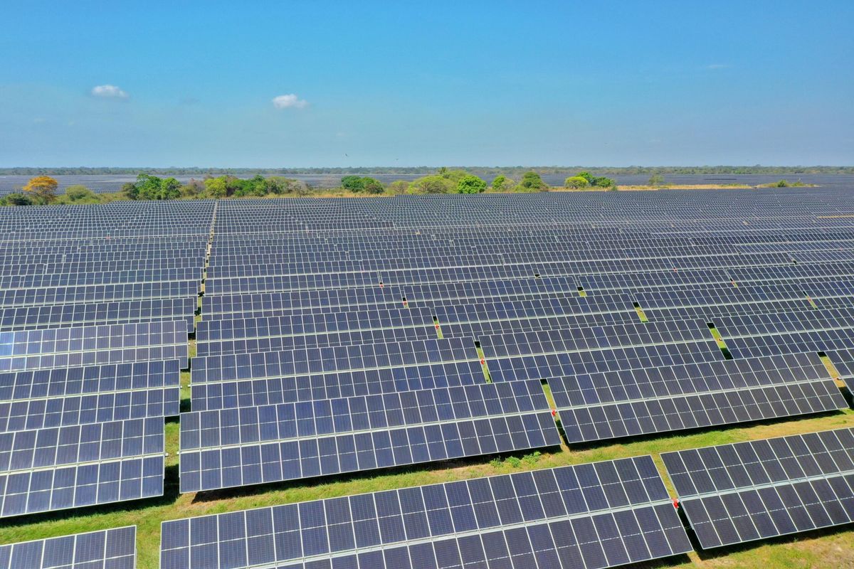 Inauguran el parque solar más grande del país: su tamaño equivale a 552 canchas de fútbol