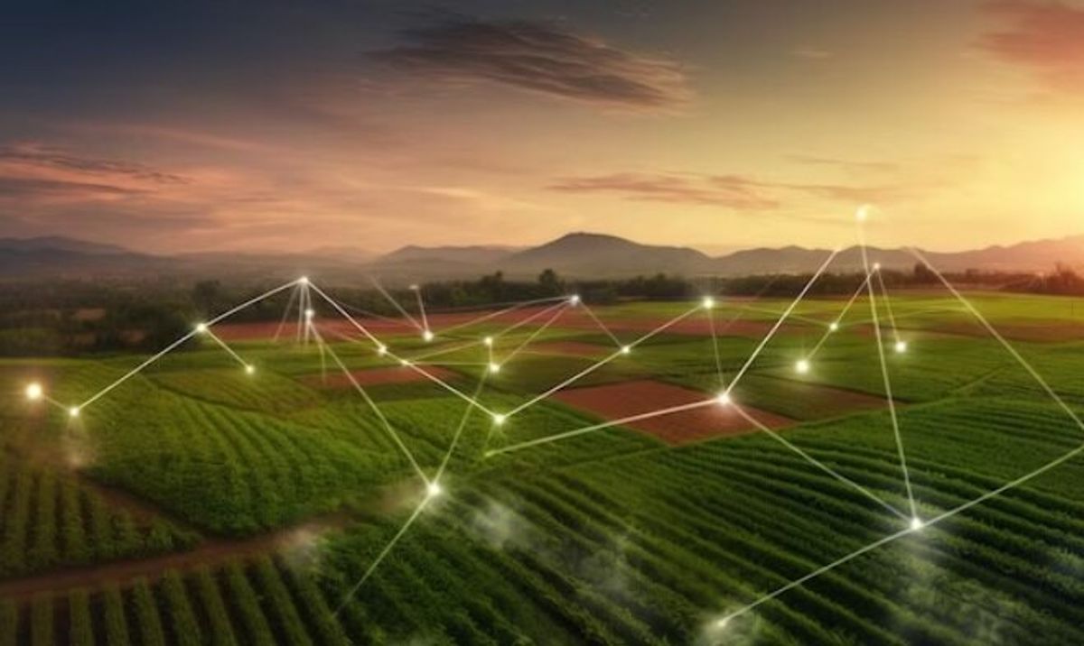 El papel de la conectividad satelital de Starlink en la productividad de la agroindustria