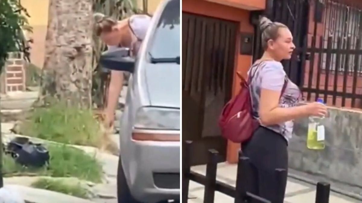 Mujer es captada arrojando veneno a perritos al sur de Medellín