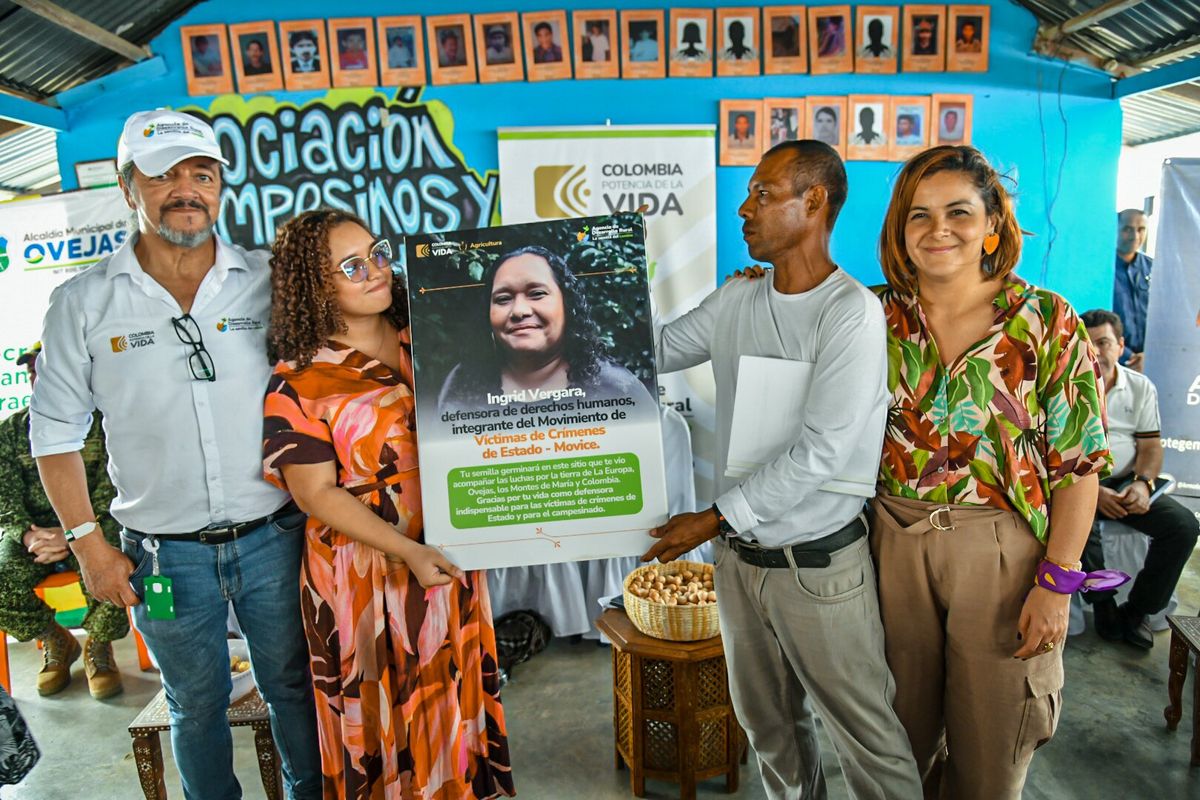 Entregan en Montes de María primer proyecto productivo para cultivo de cáñamo de cannabis