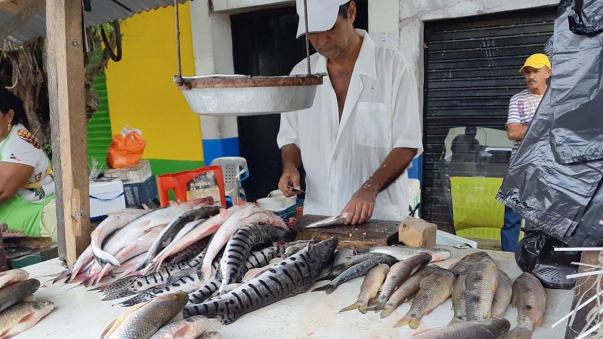 ¿En cuánto está el precio del pescado para la Semana Santa?