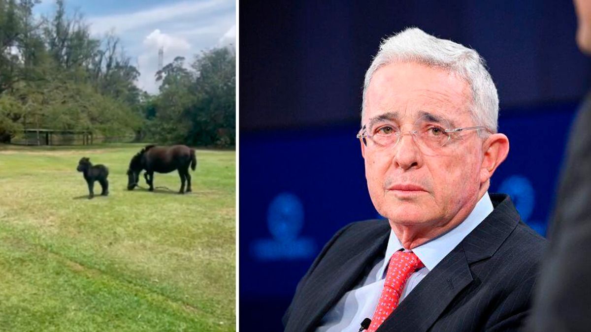 Uribe dice que rifará un caballo para contribuir a la ‘vaca’ para las vías 4G en Antioquia