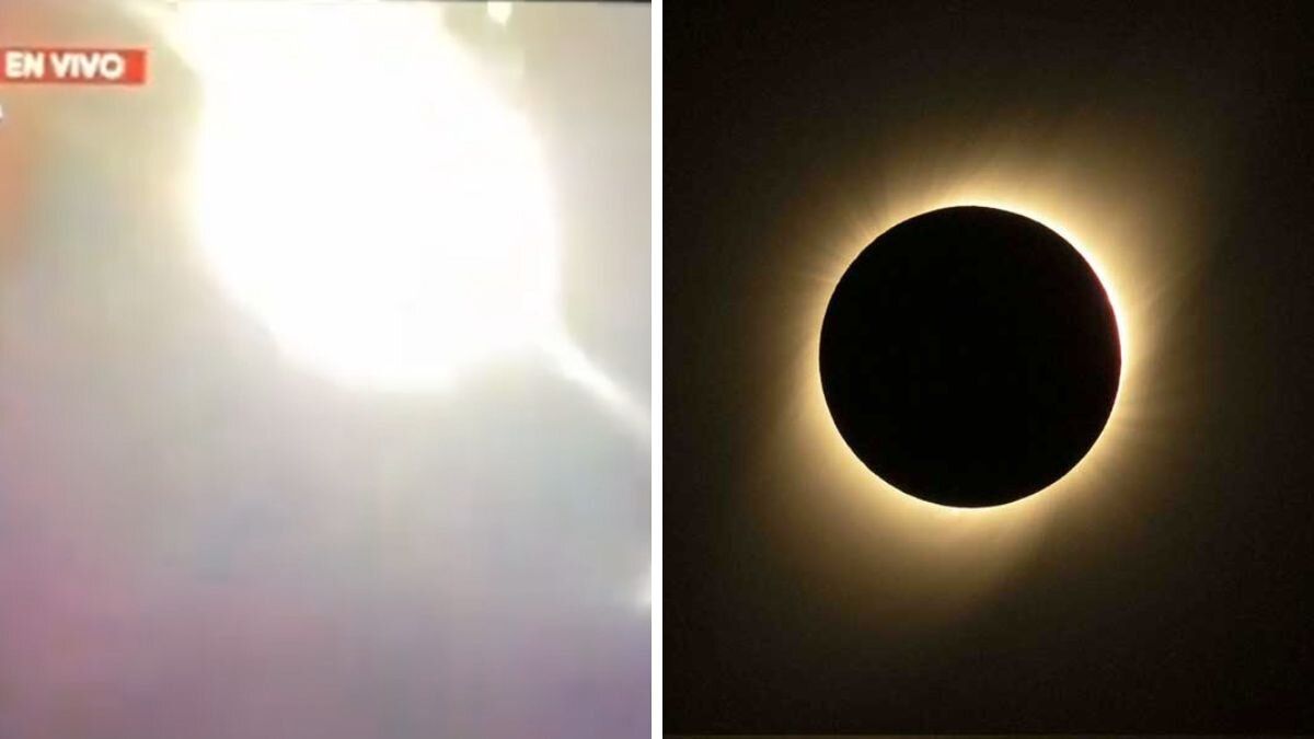 eclipse testísculos