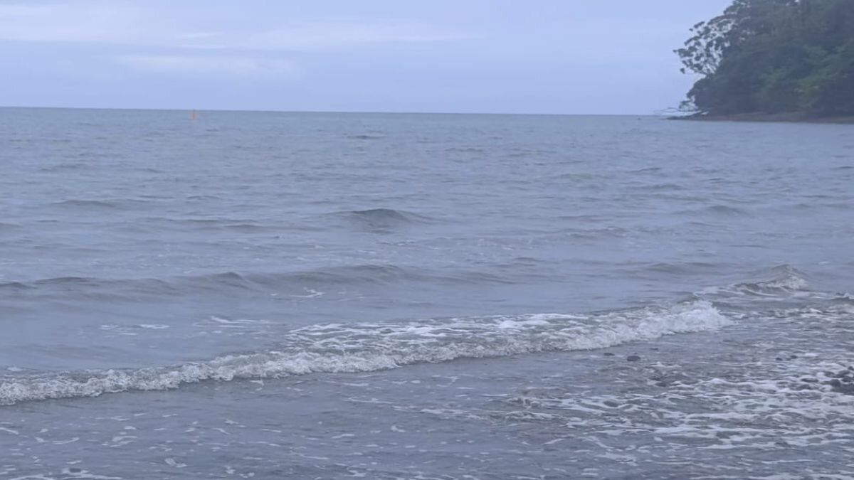 La UNGRD reveló actualización sobre amenaza de tsunami en pacífico colombiano: ¿qué dijo?