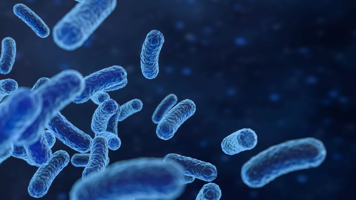 bacteria-peligrosa-aumentan-infecciones-estados-unidos