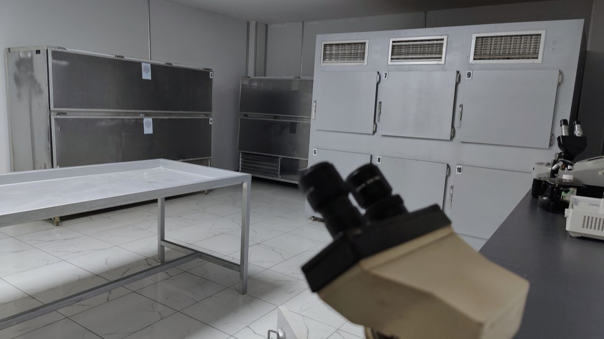 Escalofriante caso mujer dueña de una funeraria guardaba oscuro secreto en su casa